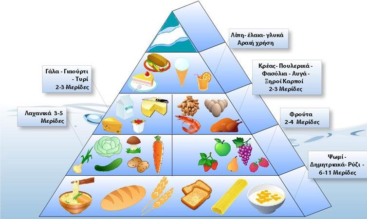 Ας γνωρίσουμε το μοντέλο της Μεσογειακής διατροφής