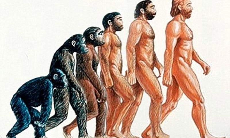 Τι ώθησε την εξέλιξη του ανθρώπου; Πιθανόν η κατανάλωση κρέατος!