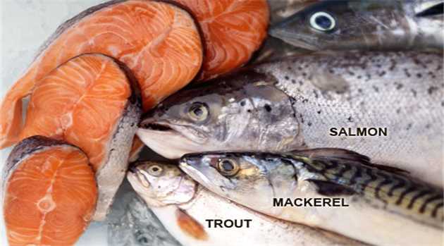 Ω-3 λιπαρά οξέα: Τα ευεργετικά συστατικά των ψαριών