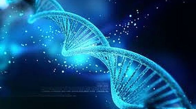 Τι είναι το DNA και τα γονίδια