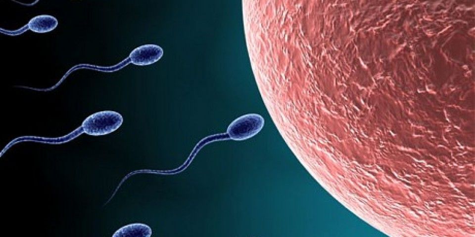 Ανακάλυψη γονιδίου μπορεί να οδηγήσει στην θεραπεία της υπογονιμότητας 