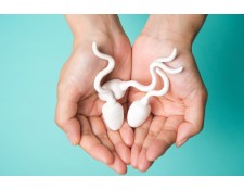 Αύξηση Όγκου Σπέρματος